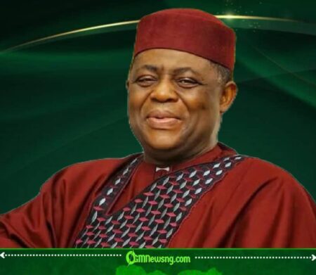 Femi Fani-Kayode Rejected by Germany as Nigeria’s Ambassador