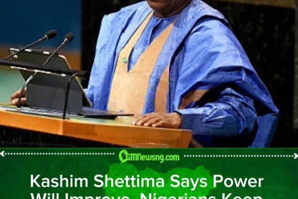 Kashim Shettima Promises Steady Power, Generators Start Panicking