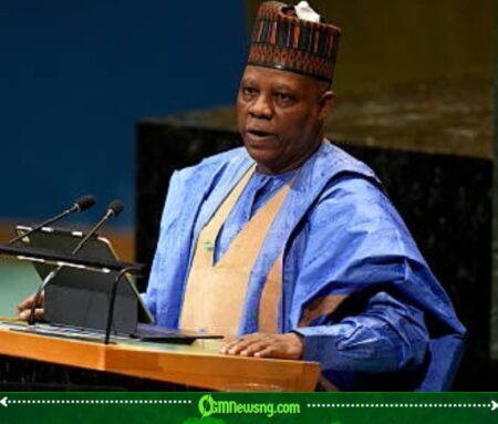 Kashim Shettima Promises Steady Power, Generators Start Panicking