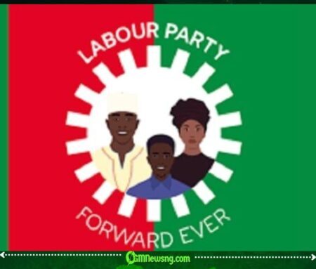 Labour Party Postpones Congresses, Zones 2027 Presidential Ticket to South