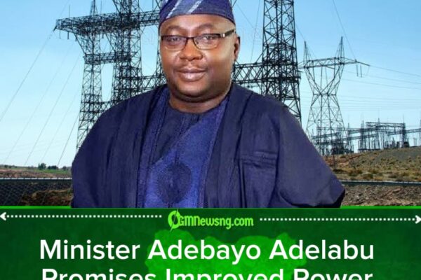 Minister Adebayo Adelabu Targets Gas Issues Affecting Electricity Generation