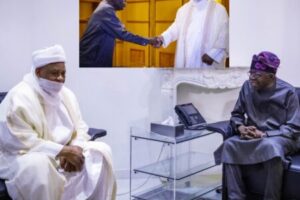 Muhammadu Sa'adu Abubakar III Holds Private Meeting With Tinubu as National Issues Mount