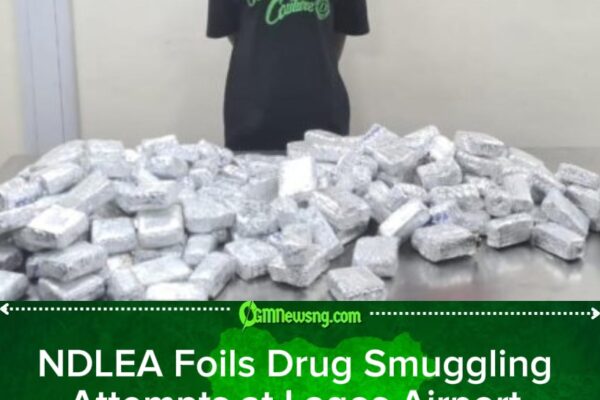 NDLEA Intercepts Illicit Drugs Hidden in Cartons, Creams at Lagos Airport, Expands Nationwide Crackdown