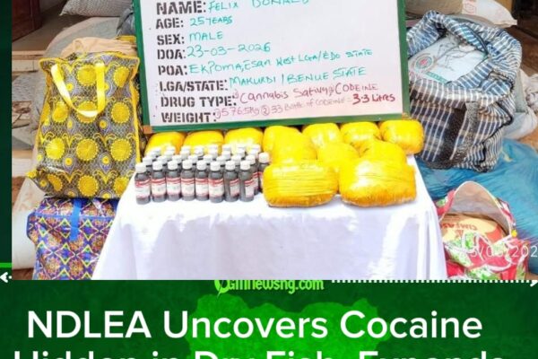NDLEA Intercepts Cocaine Hidden in Dry Fish, Seizes Hard Drugs in UK-Bound Shipments and Arrests Suspects Nationwide