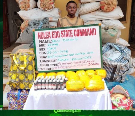 NDLEA Intercepts Cocaine Hidden in Dry Fish, Seizes Hard Drugs in UK-Bound Shipments and Arrests Suspects Nationwide