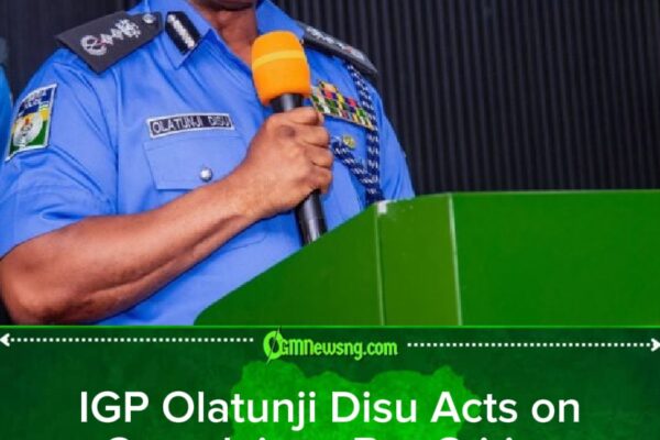 IGP Olatunji Disu Cuts Tactical Teams Amid Rising Security Concerns