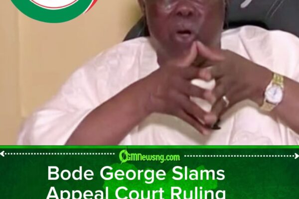 PDP Leadership Dispute Deepens as Bode George Criticises Court Judgment