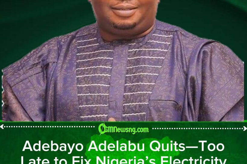Minister Adebayo Adelabu Resigns as Power Minister