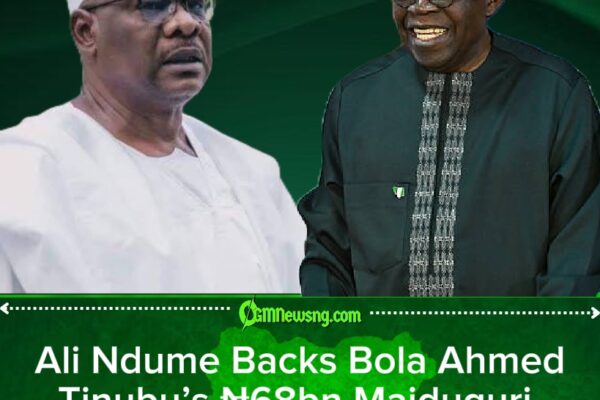 Ali Ndume Says Electricity Will Reduce Insecurity in Borno State