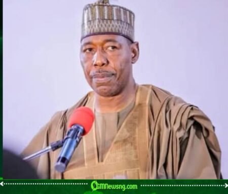 Babagana Zulum Sparks Debate With Jilli Market Clarification