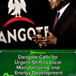 Dangote Calls for Urgent Shift to Local Manufacturing and Energy Development