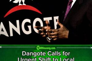 Dangote Calls for Urgent Shift to Local Manufacturing and Energy Development