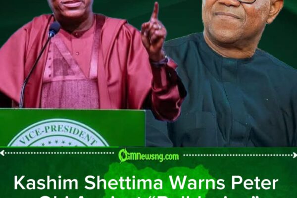 Kashim Shettima Says There Are Better Candidates Than Peter Obi in South-East