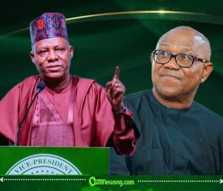 Kashim Shettima Says There Are Better Candidates Than Peter Obi in South-East