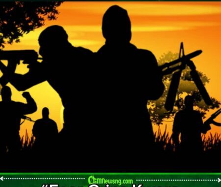 Kidnappers Threaten to Kill 176 Abducted Residents in Kwara if Government Fails to Meet Demands