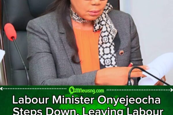 Minister of State for Labour and Employment Onyejeocha Resign.