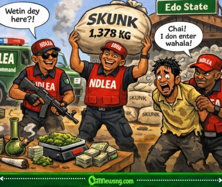 NDLEA Burst Warehouse for Edo, Carry 125 Bags of Skunk Weed (1,378kg) – One Suspect Land for Trouble