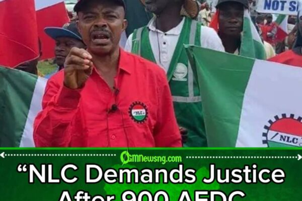 Nigeria Labour Congress Shuts Down AEDC Headquarters Over Dismissal of 900 Workers