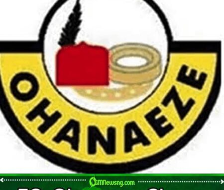 Federal Government, Ohanaeze Move to Ban ‘Eze Ndigbo’ Titles Abroad Over Diplomatic Concerns