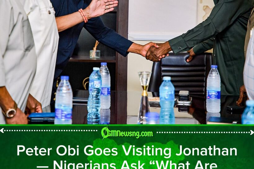 Peter Obi Visits Goodluck Jonathan With South-East Elders
