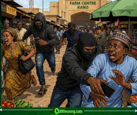 Thugs Take Over Farm Centre Market for Kano Like Say Security No Dey Again—Who Dey Protect Traders?