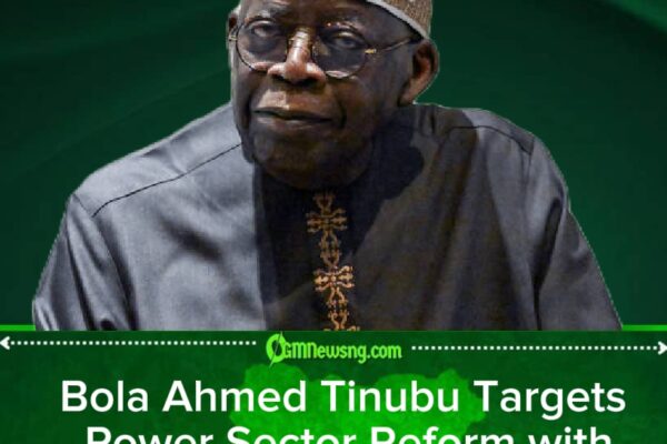 Bola Ahmed Tinubu Approves N3.3 Trillion Plan to Improve Electricity Supply
