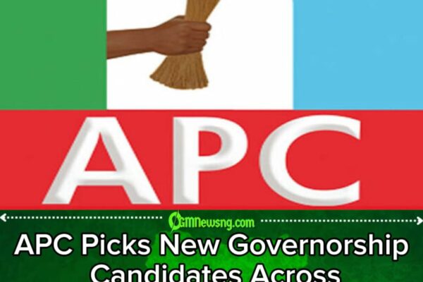 APC Primaries Explode Into Fresh Power Contest as Governorship Ticket Winners Emerge Ahead of Presidential Battle