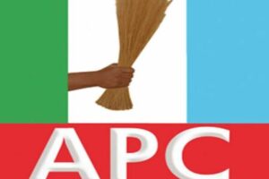 APC Primaries Explode Into Fresh Power Contest as Governorship Ticket Winners Emerge Ahead of Presidential Battle