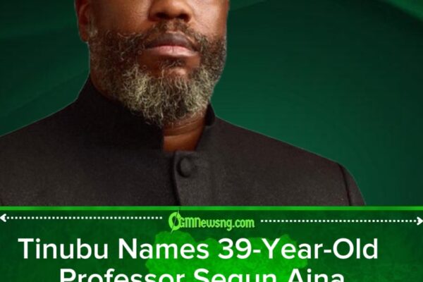 Professor Segun Aina Appointed New JAMB Registrar by Tinubu