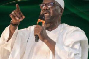 Senator Ali Ndume Warns Terrorists Are Still Targeting Schools in Borno