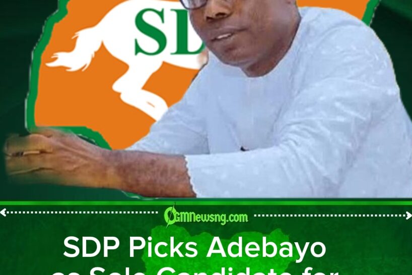 SDP Picks Adebayo as Sole Candidate for 2027 Presidential Race