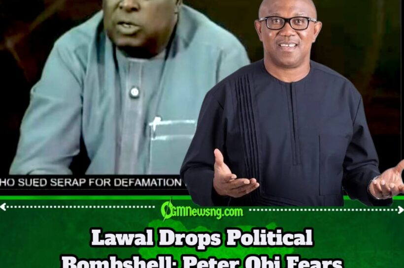 Consensus Controversy: Lawal Drops Political Bombshell: Peter Obi Fears Primaries, Wants a Free Ticket