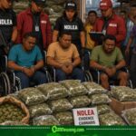 Disability Cartel: “No Be By Crutch” — Massive Cannabis Discovery Raise Eyebrows Nationwide