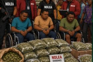 Disability Cartel: “No Be By Crutch” — Massive Cannabis Discovery Raise Eyebrows Nationwide