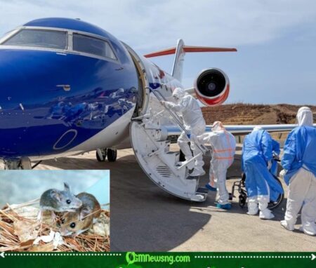 Hantavirus Prompts Heightened Health Surveillance in Parts of the United States