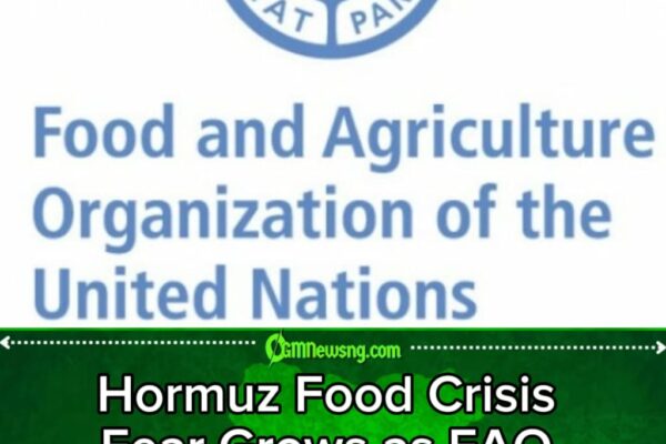 Hormuz Shockwave: FAO Warns World Food Supplies Could Become the Next Casualty of Global Shipping Tensions