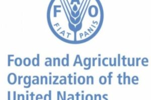 Hormuz Shockwave: FAO Warns World Food Supplies Could Become the Next Casualty of Global Shipping Tensions