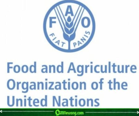 Hormuz Shockwave: FAO Warns World Food Supplies Could Become the Next Casualty of Global Shipping Tensions