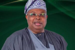 Minister of Power Joseph Olasunkanmi Tegbe Takes Dangerous Political Gamble - “Blame Me If Light Fails Again