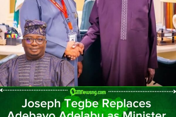 Joseph Tegbe’s Nomination Sparks Debate Over Nigeria’s Power Crisis