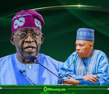 Kashim Shettima Awaits Tinubu’s Decision Ahead of 2027 Election