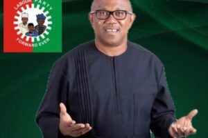 Labour Party Admits Peter Obi Left a Dangerous VOID as ADC Coalition Reshapes 2027 Political Battlefield