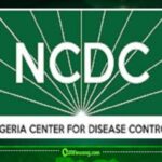 NCDC Says No Hantavirus Cases Have Been Detected in Nigeria