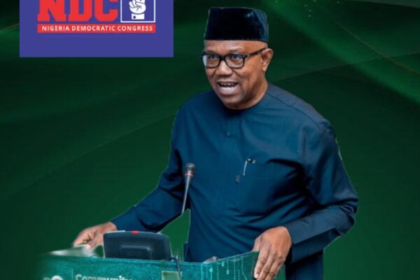 Obi Ratification Raises Fresh Questions About Democracy as NDC Pushes Ahead Despite Chaos