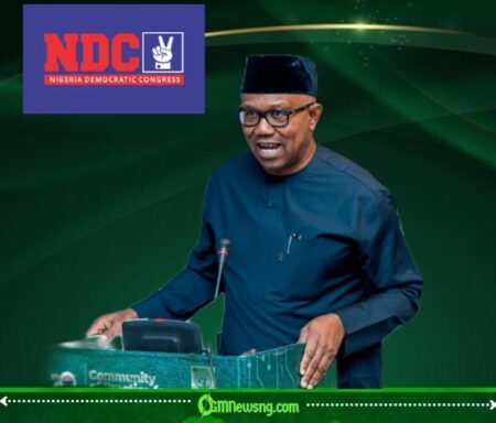 Obi Ratification Raises Fresh Questions About Democracy as NDC Pushes Ahead Despite Chaos