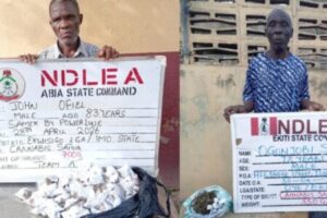 NDLEA Arrests Octogenarians, Seizes Large Drug Hauls in Nationwide Crackdown