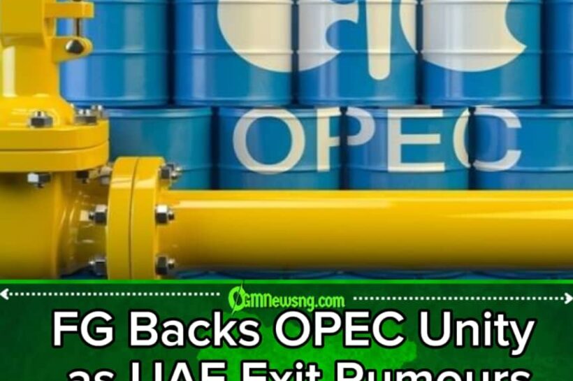 FG Officials Reaffirm Commitment to OPEC Amid Concerns Over UAE Exit Talks