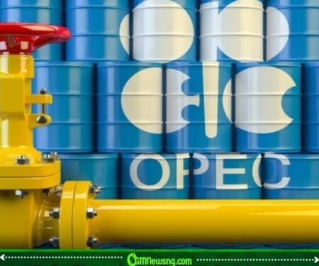 FG Officials Reaffirm Commitment to OPEC Amid Concerns Over UAE Exit Talks