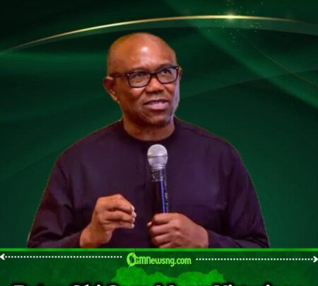 Peter Obi Says Nigerians Would Rather Die Abroad Than Return Home
