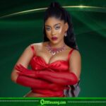 Phyna Reveals She Plans To Have Her First Child Through Surrogacy as Celebrity Motherhood Debate Intensifies